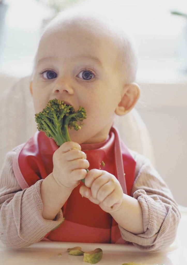 Baby-let weaning