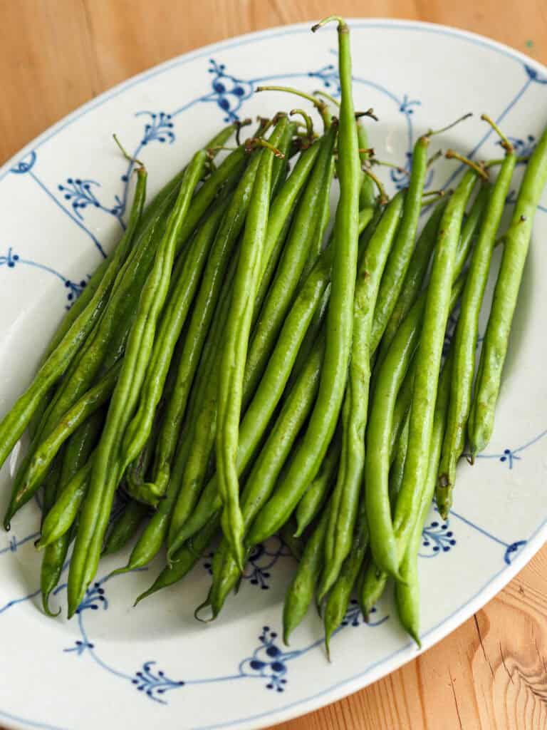 Friske grønne bønner