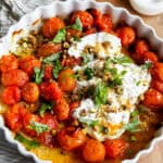 Bagte tomater med burrata